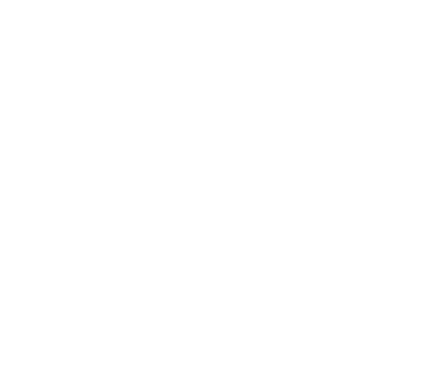 https://argonautadvisors.com/wp-content/uploads/2021/02/argonaut_ocw.png